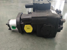 Harvester hydraulic pump system