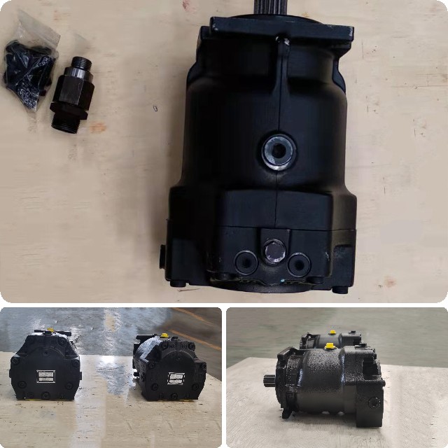 Roller plunger motor