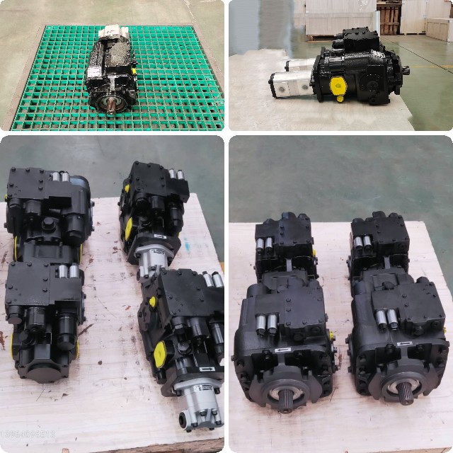 Hydrostatic drive plunger motor customization